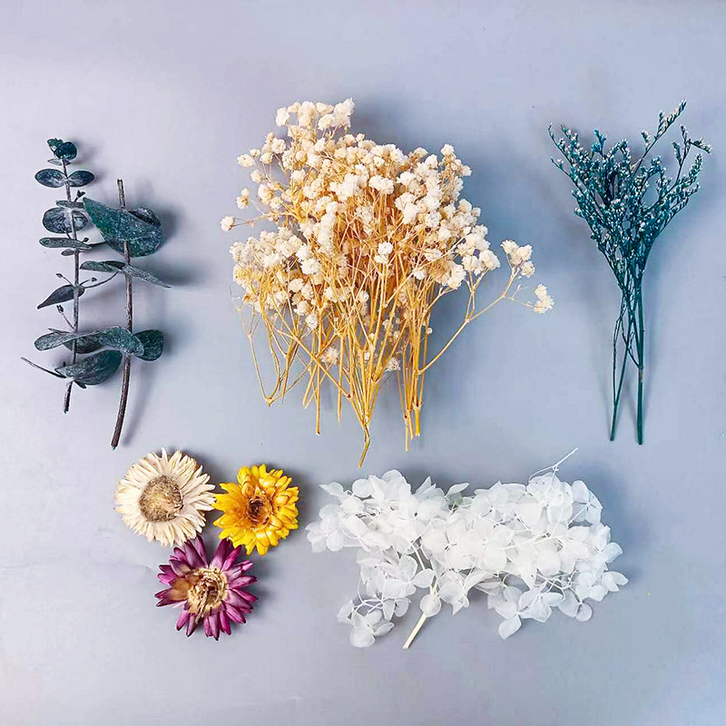 Embellish Craft - 1pack Veelsoortige Gedroogde Bloemen Set Voor