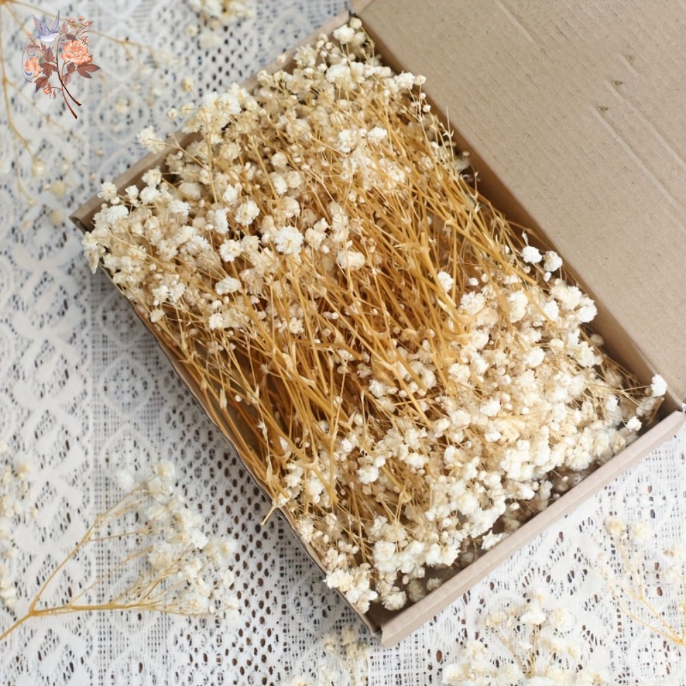 Embellish Craft - 100 stuks Mini Gedroogde Baby's Breath