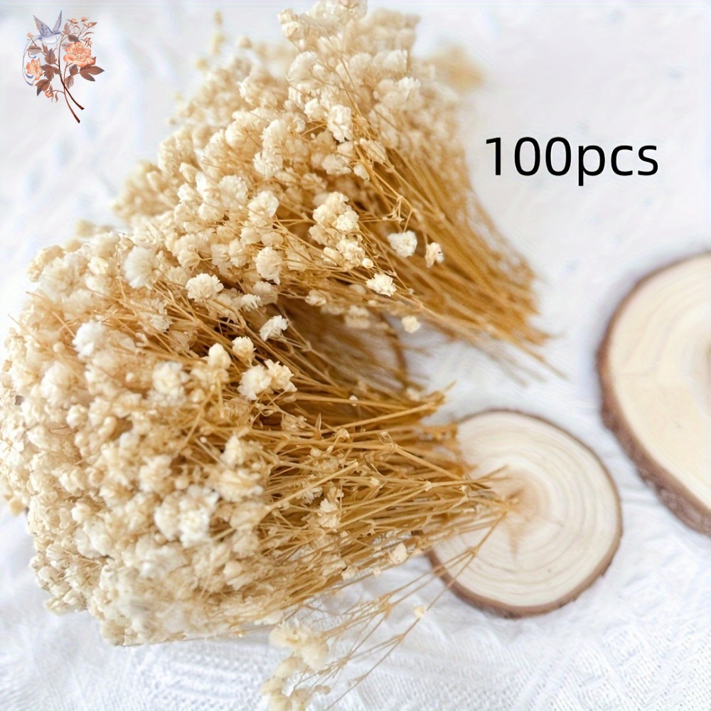 100 stuks Mini Gedroogde Baby' - Embellish Craft recensie en prijs