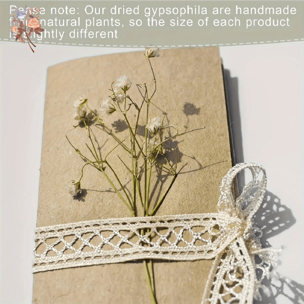 100 stuks Mini Gedroogde Baby' - Embellish Craft recensie en prijs